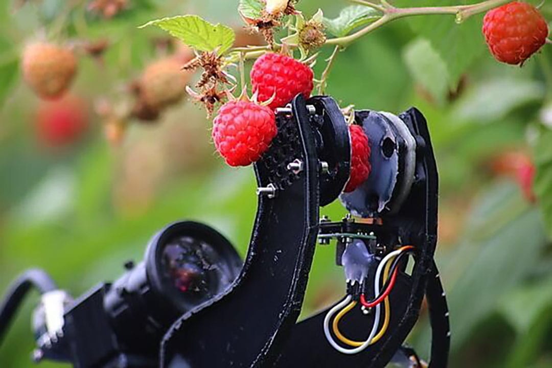 The ‘soft’ technology covers variable pressure grips on the robot arm to suit the demands of the task being undertaken. - Photo: University of Plymouth