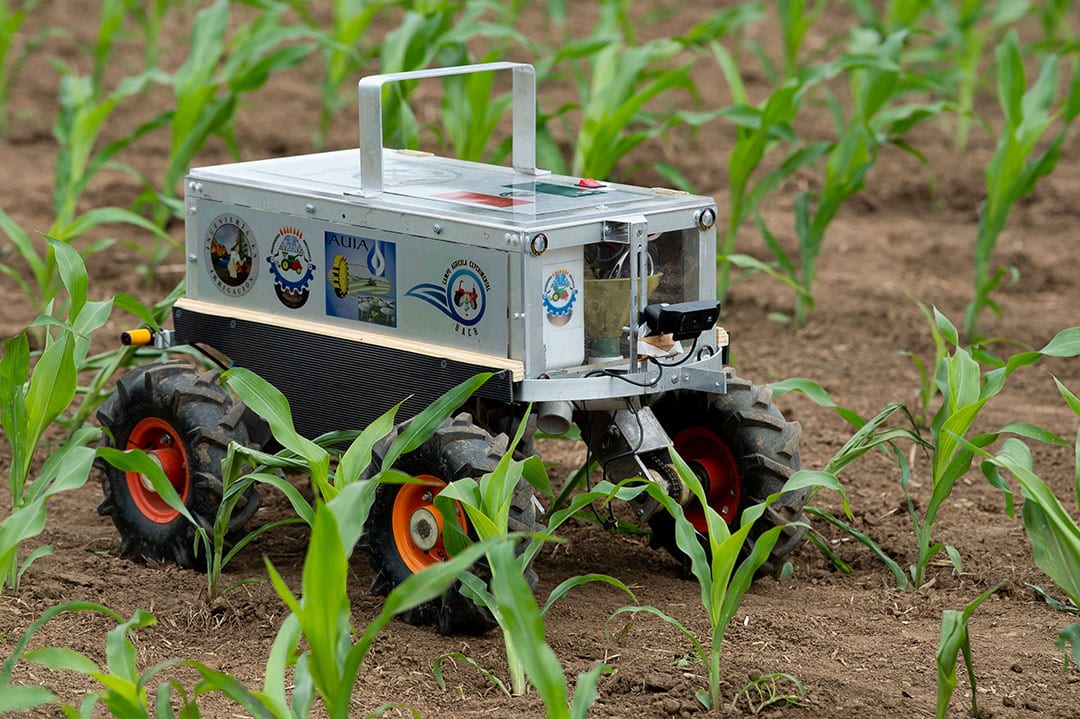 Robots from 13 competing international student teams wil perform tasks like weed recognition among real crops. - Photo: DLG