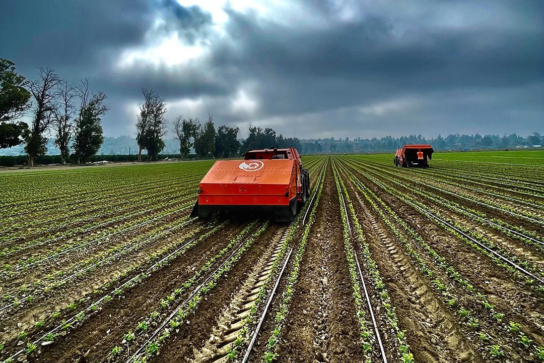 FarmWise has been operating as a custom service provider to large vegetable farms across California and Arizona for three commercial seasons. - Photo: FarmWise