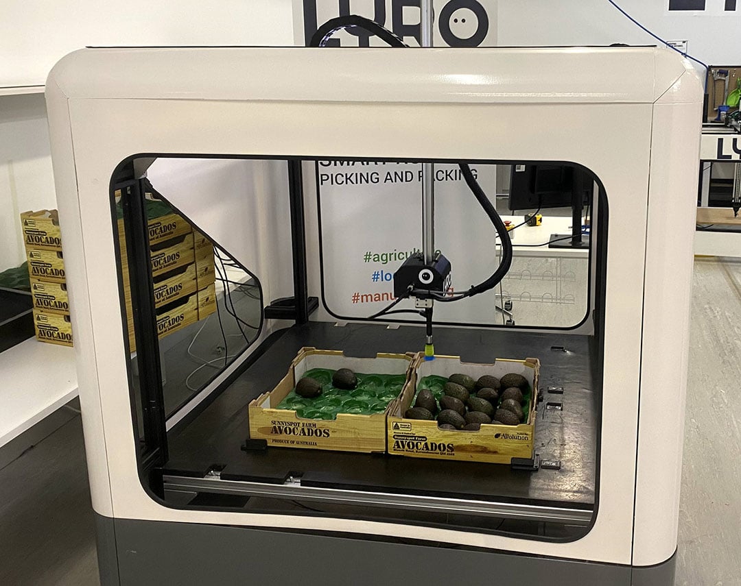 The packing speed of the LYRO packing robot has doubled over the past year. - Photo: LYRO Robotics