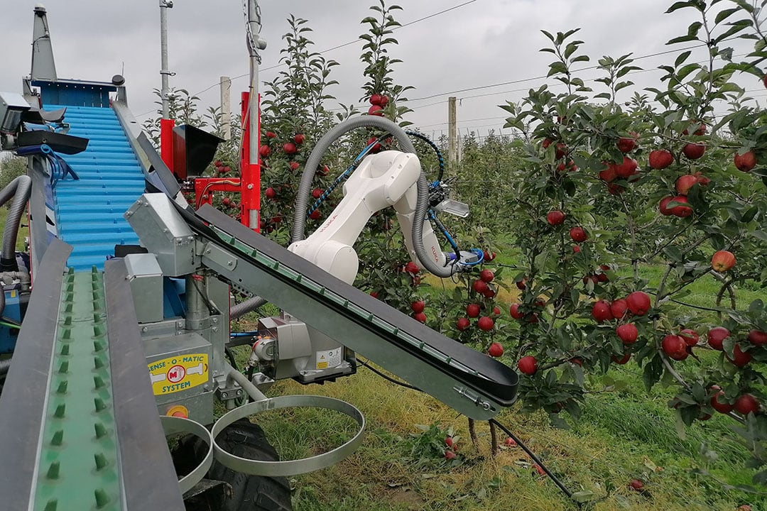 The researchers currently manage to pick a single apple in 10 seconds compared to 20 or even 30 seconds and a year ago. “The bottleneck isn’t the speed of sensing but the moving speed of the robotic arm and the speed with which it can create the right amount of suction power (vacuum).”