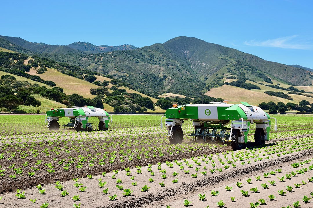 Naïo Technologies is identified as an innovation leader in pre-harvest in the annual Global Harvest Automation report. The company delivers weeding as a service in California. - Photo: Naïo Technologies