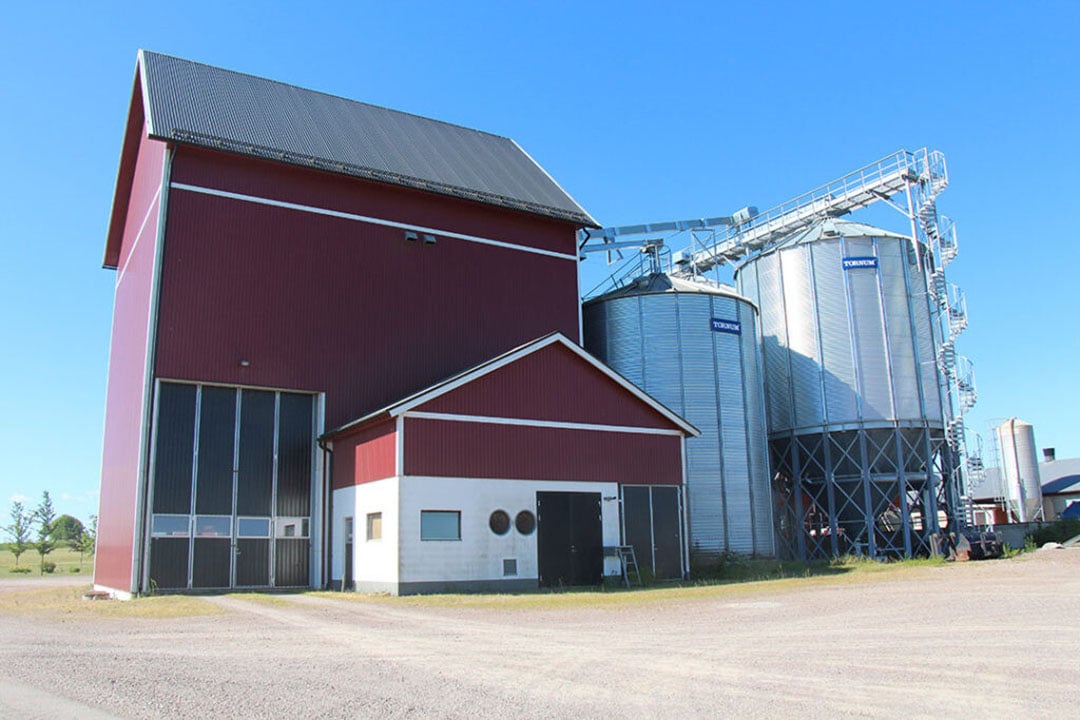 All the wheat usually needs to be dried since it’s normally harvested with 18% moist while below 13% is required for winter wheat.