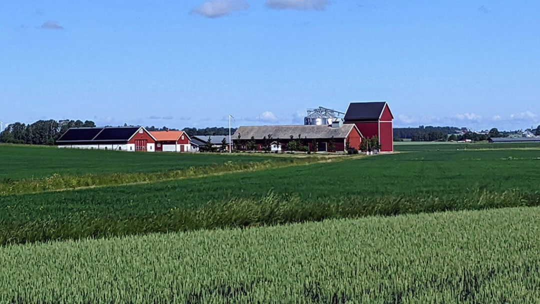 The farm is located in the Nederlösa region meaning lower village.