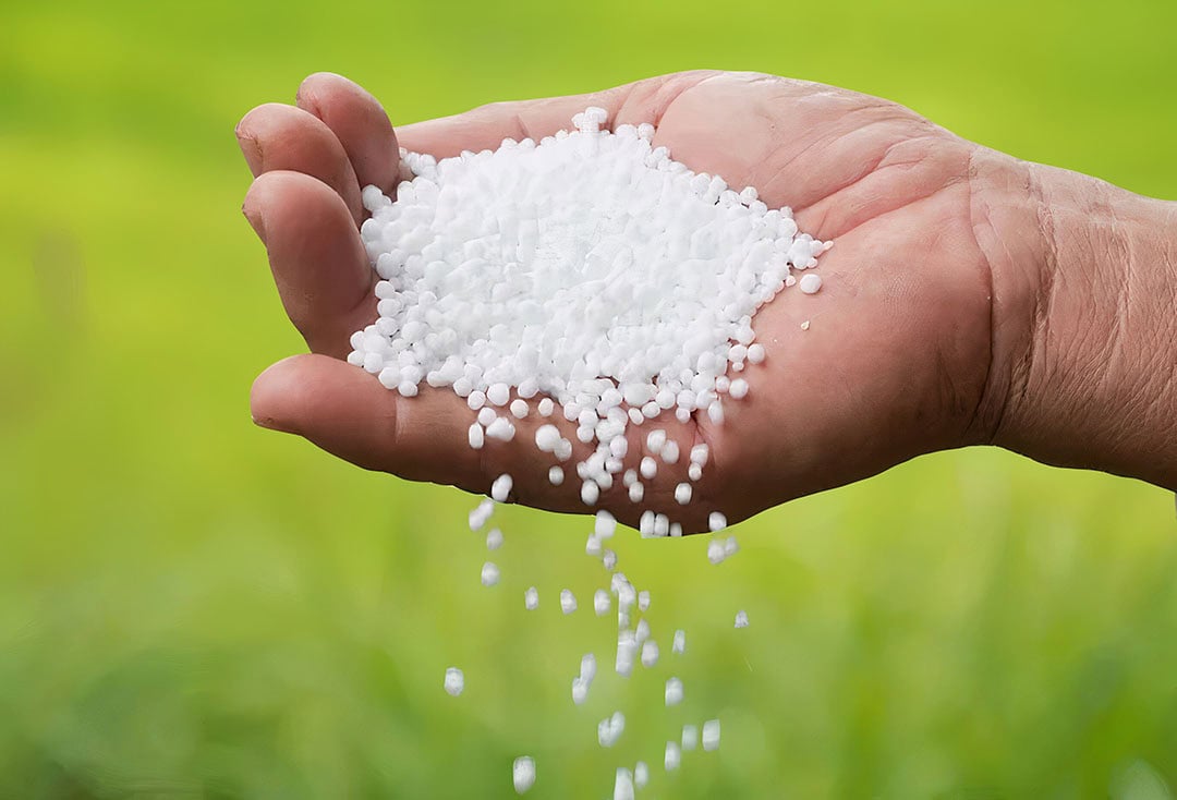 The global reference price for urea recently decreased 10%. - Photo: Grain Producers Australia