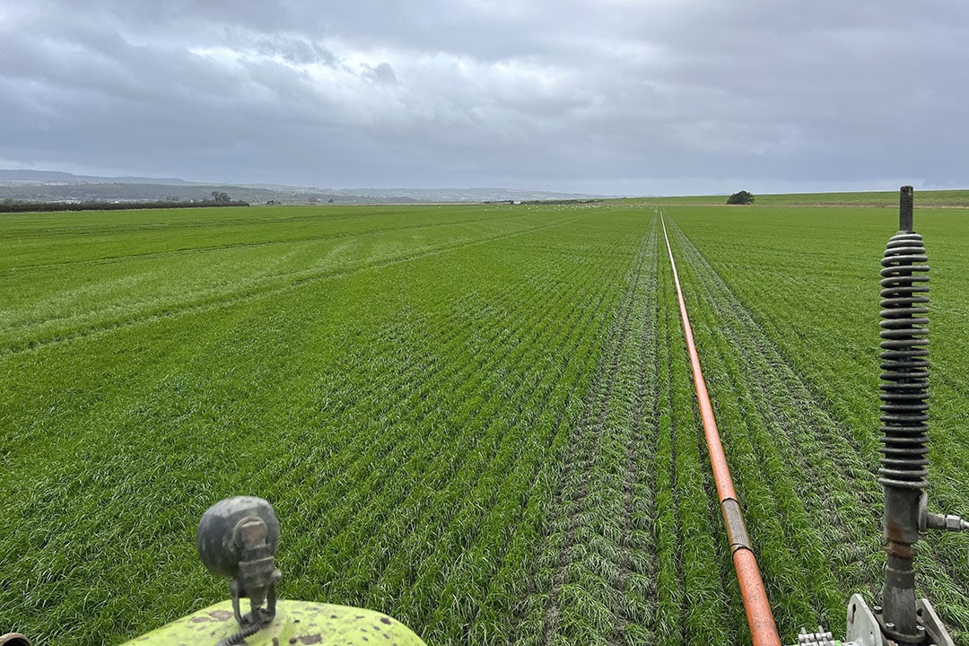 As well as more efficient use of slurry produced on the farm by the dairy herd, Alistair now focuses on more targeted spraying and a switch to liquid fertiliser application.