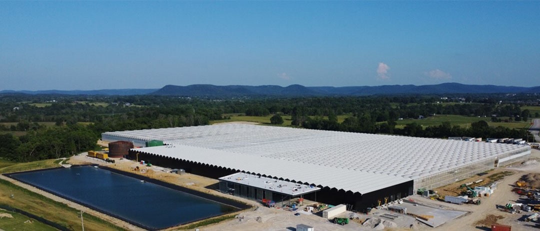 The Berea Farm measures 15 acres and is the smallest of AppHarvest's indoor farms. - Photo: AppHarvest