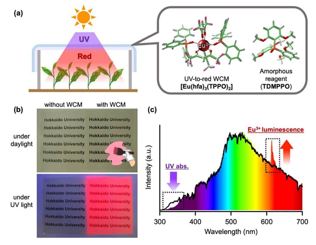 (a) Schematic of WCM film converting UV light to red light (left) and molecular structure of film components (right). (b) Photos of plastic sheets with and without WCM coating. (c) Solar spectrum showing wavelengths absorbed and emitted by the WCM film. - Source: Sunao Shoji et al. Scientific Reports