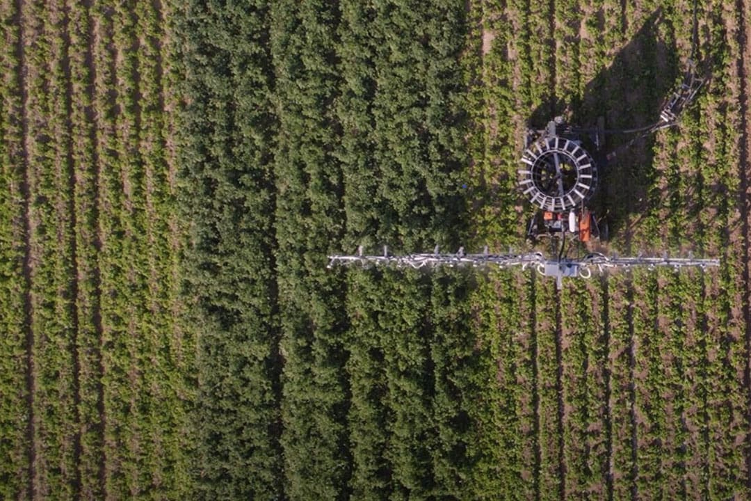 The Oscar irrigation robot It is controlled by RTK GPS. The reel holds a total of 600 metres of hose.  The robot drives back and forth through the field at a speed of 0.3 - 0.9 km/h. - Photo: Osiris Agriculture