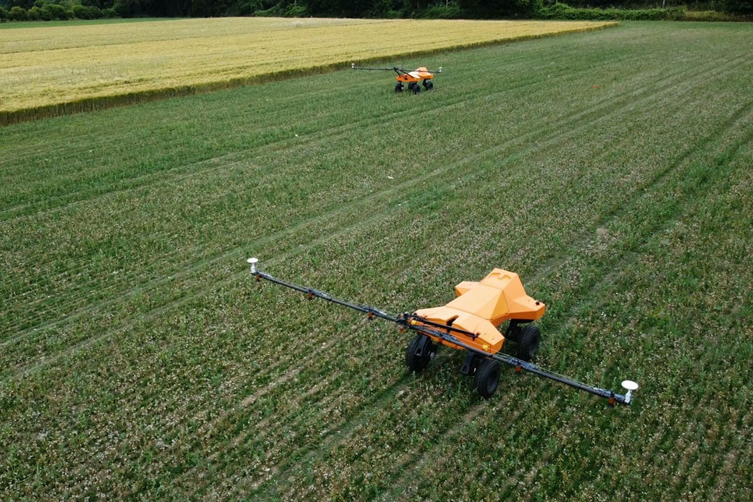 Two Tom V4’s in the field. Commercially this year, SRC is looking to optimise fertiliser treatment using plant counts and biomass assessments to inform variable rate nitrogen application. - Photo: Small Robot Company