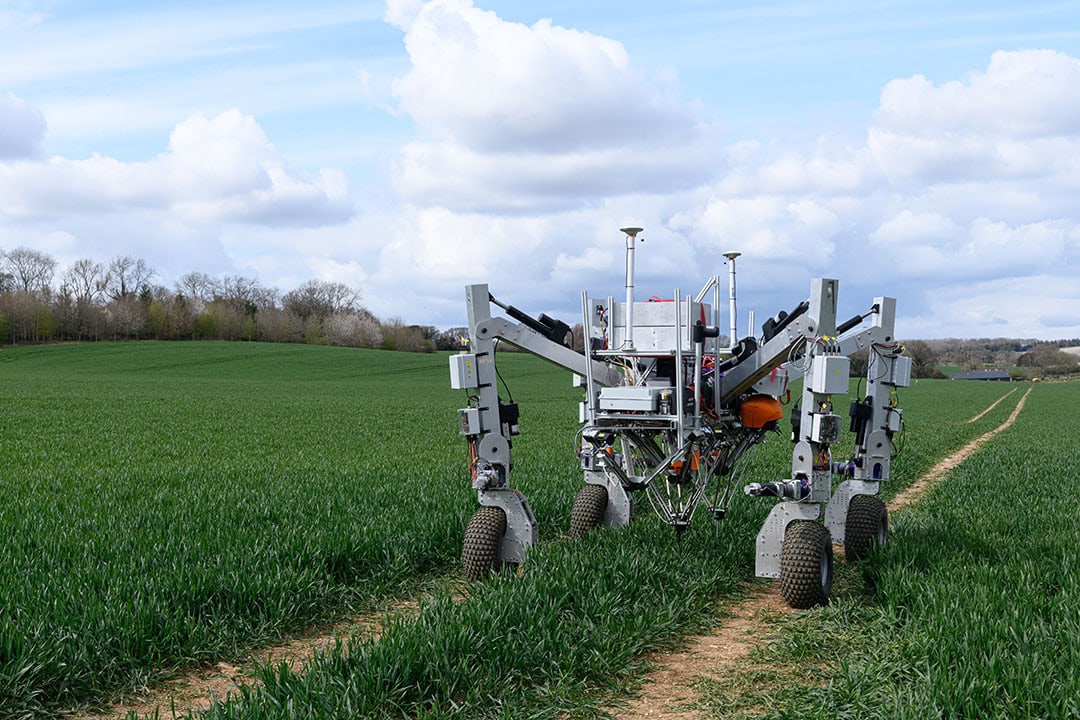 Robot Dick will ultimately cover all aspects of crop care, using robotic Per Plant Action. - Photo: Small Robot Company