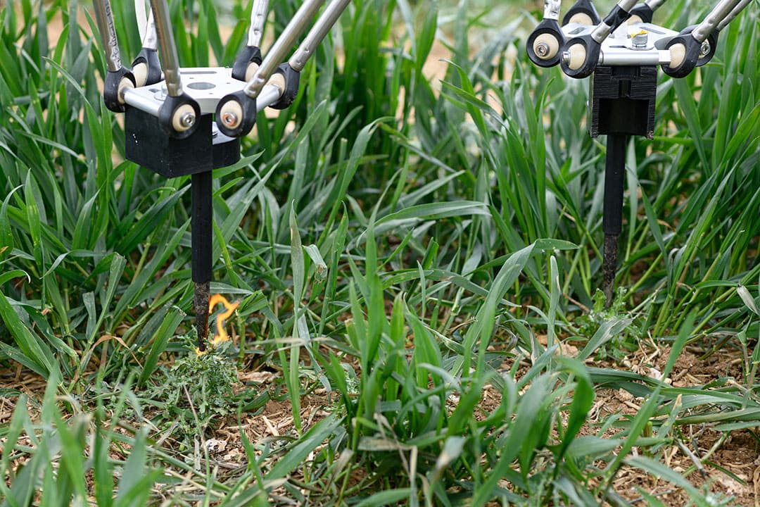 There are proof of concept projects undertaken for various functions, including non-chemical weeding with electricity (Rootwave). - Photo: Small Robot Company