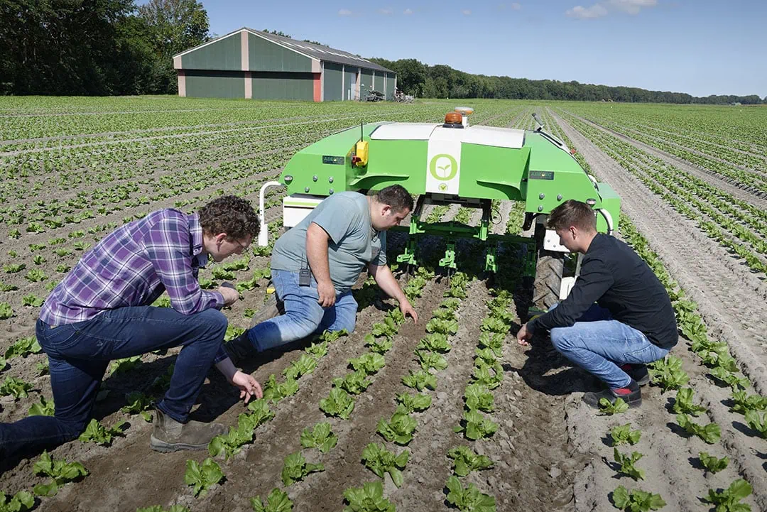 On-farm testing of a weeding robot in the NPPL project. - Photo: Wageningen University & Research