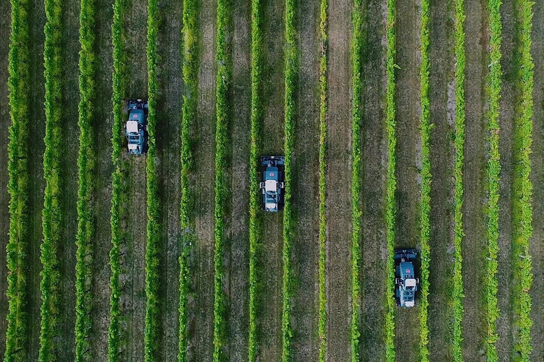 The vineyard robot can control up to three implements at once for various tasks and one operator can control multiple units. - Photo: Smart Machine