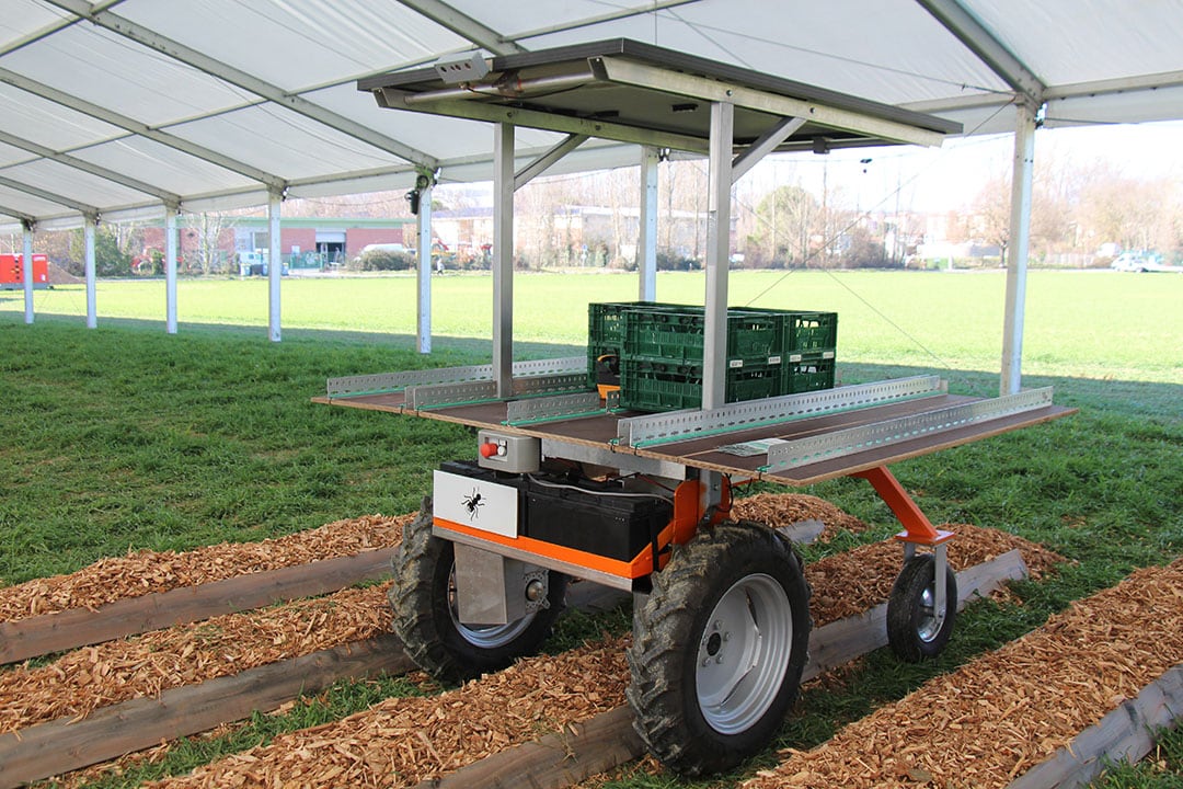 Ant Robotics showcased the first prototype of the Valera cobot for transporting manually harvested fruits like strawberries. The cobot follows the pickers by means of patented software technology. It can carry 500 kilograms and is designed for 180 m strawberry fields. Price indication: € 24,000 to € 26,000.