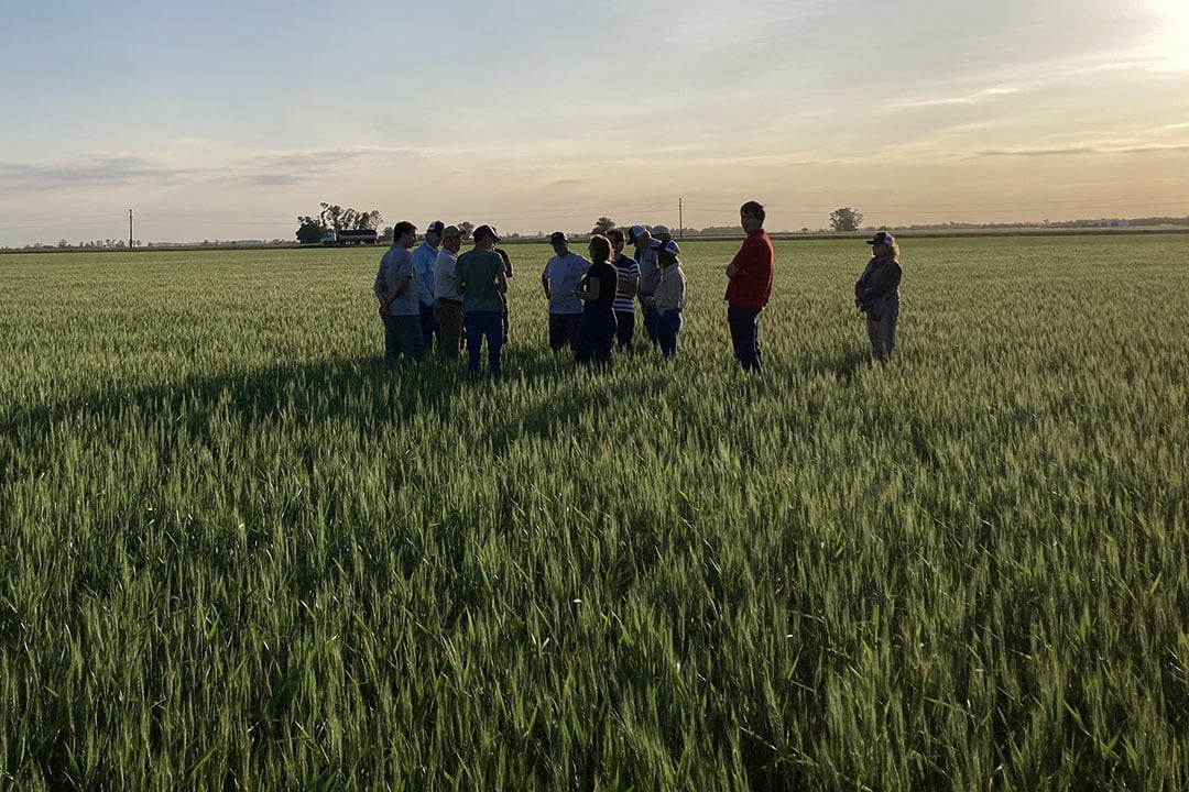 Dr Harm van Rees: “Many of the farmers we met, are concerned about a possible adoption of a policy that will phase out glyphosate.” - Photo: Harm van Rees