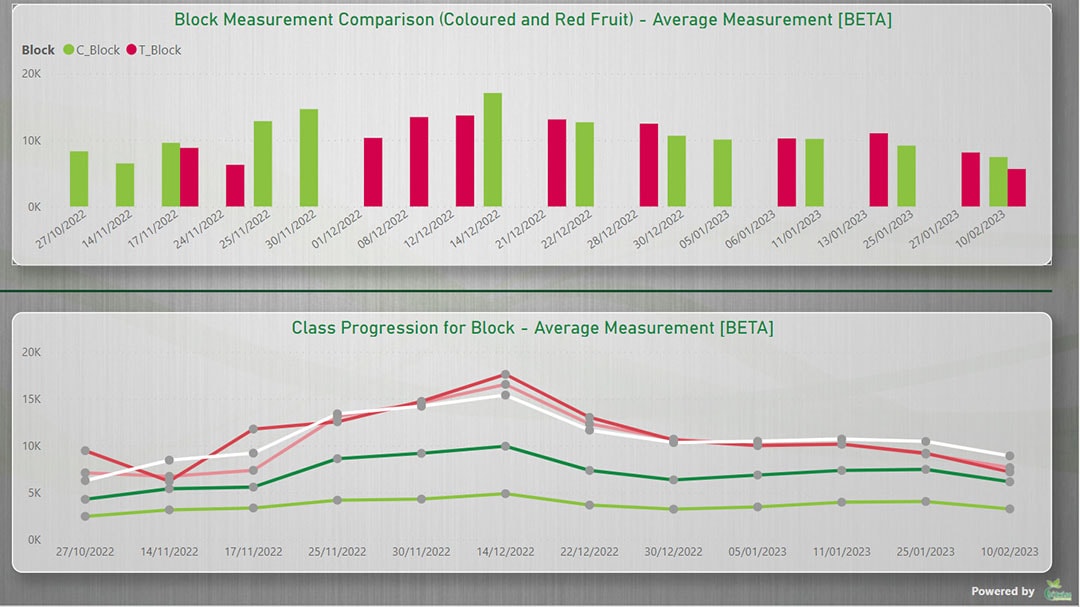 An example of GreenView’s fruit size tracking for strawberries.