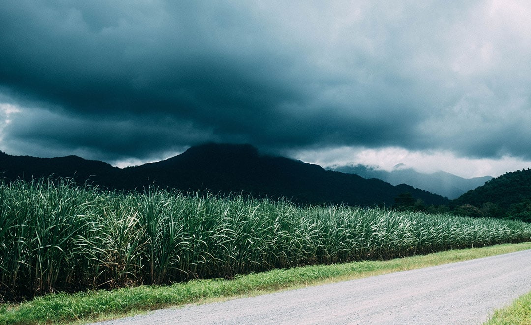 Irrigweb combines crop water use estimates with user-defined irrigation system constraints and crop cycle inputs to schedule future irrigation events. Farmers select the closest meteorological site as the source of weather data inputs. - Photo: Chaz McGregor