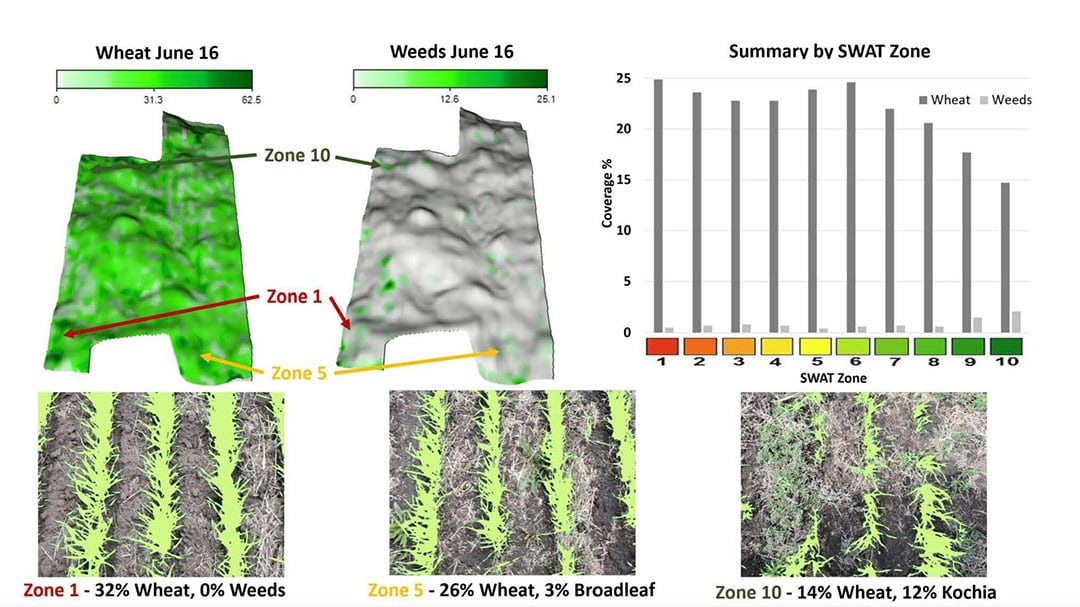 Based on the percentage of Kochia present on the images and the trends per SWAT zone, customers can for instance apply the granular herbicide Edge (Ethalfluralin) based on a prescription map created with SWAT MAPS.