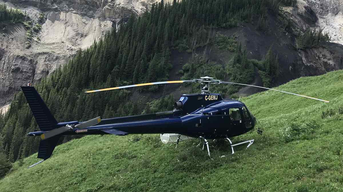 Gemini heli
