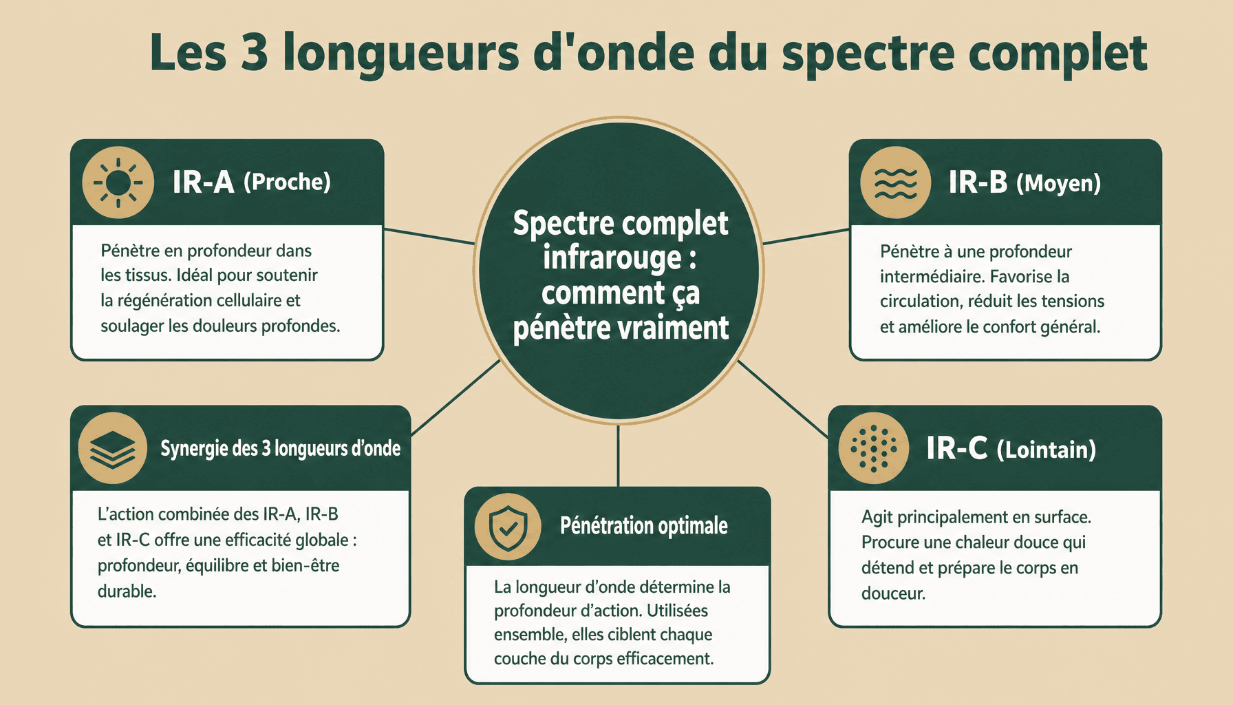 Infographie sauna infrarouge spectre complet : les trois types de rayonnement IR-A, IR-B, IR-C et leur pénétration dans les tissus