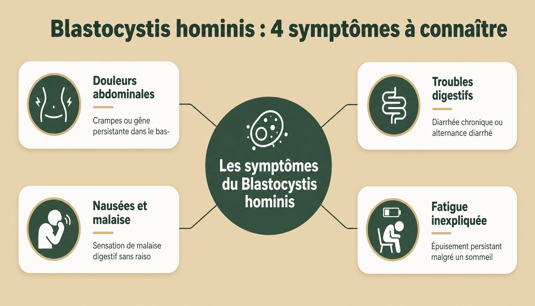 Infographie des 4 symptômes principaux du blastocystis hominis : douleurs abdominales, diarrhée, nausées, fatigue persistante