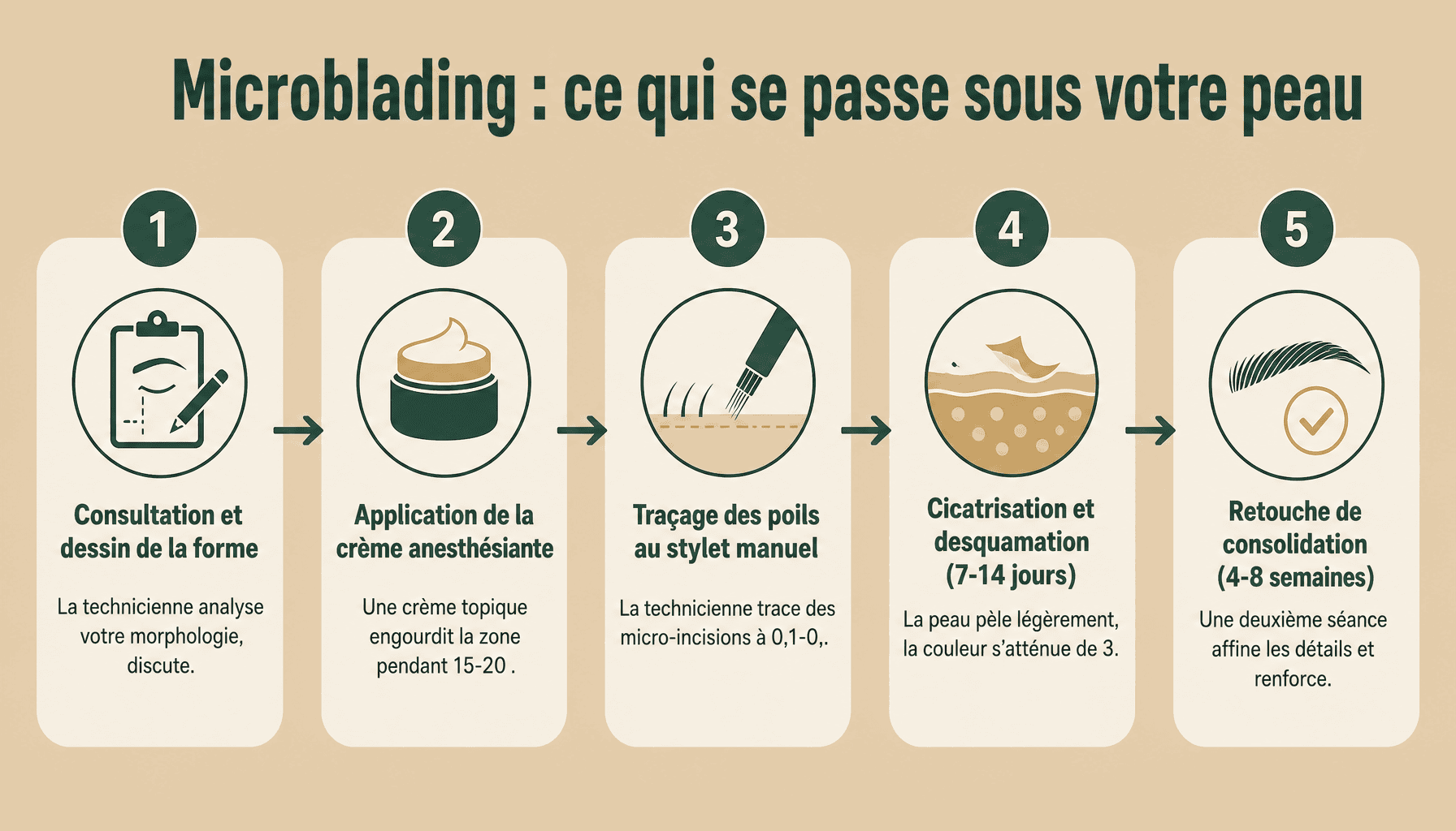 Les 5 étapes du microblading : de la consultation à la cicatrisation complète des sourcils