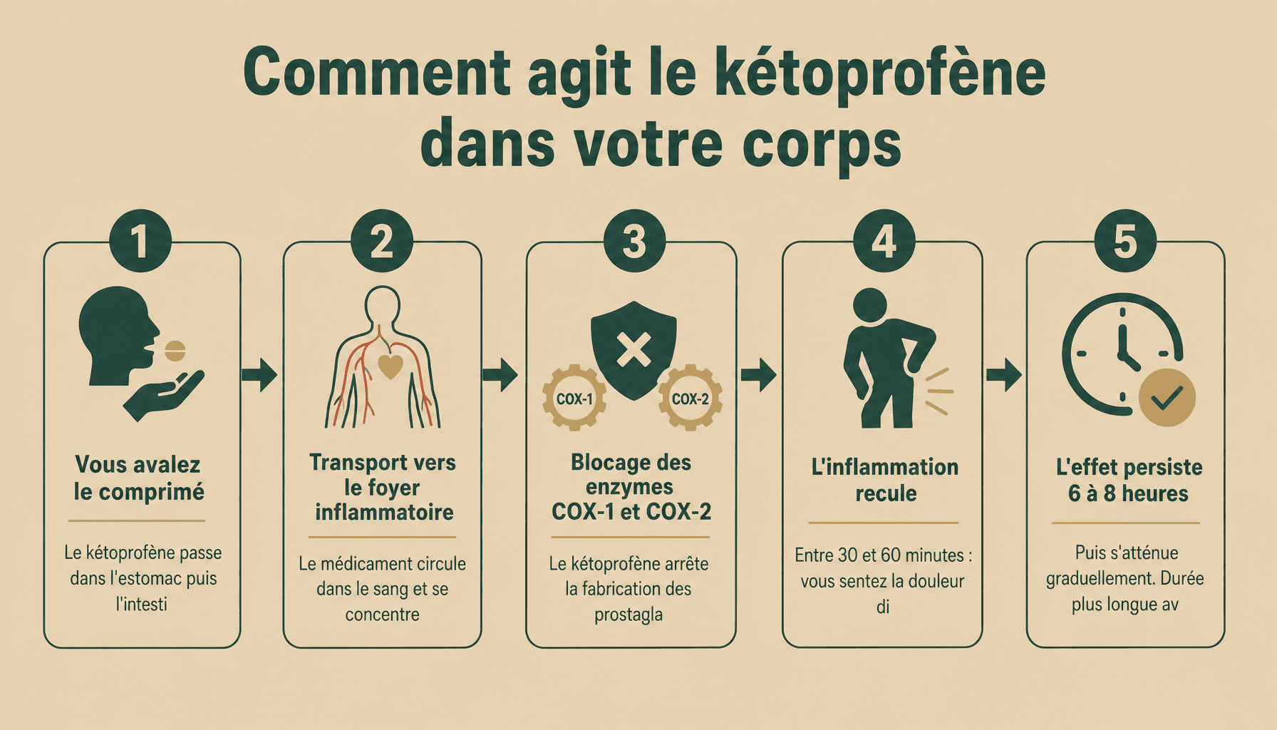Infographie : kétoprofène agit en combien de temps - processus d'action en 5 étapes