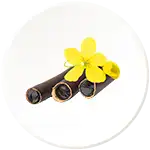 Amaltas