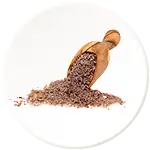 Aspaghol