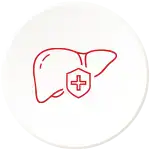 Liver protection