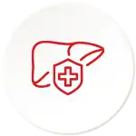 Liver protection