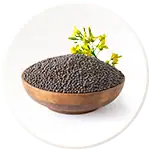 Mustard