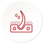 Scalp Oil Balance