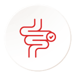 Gastrointestinal System