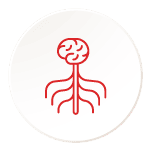 Nervous System