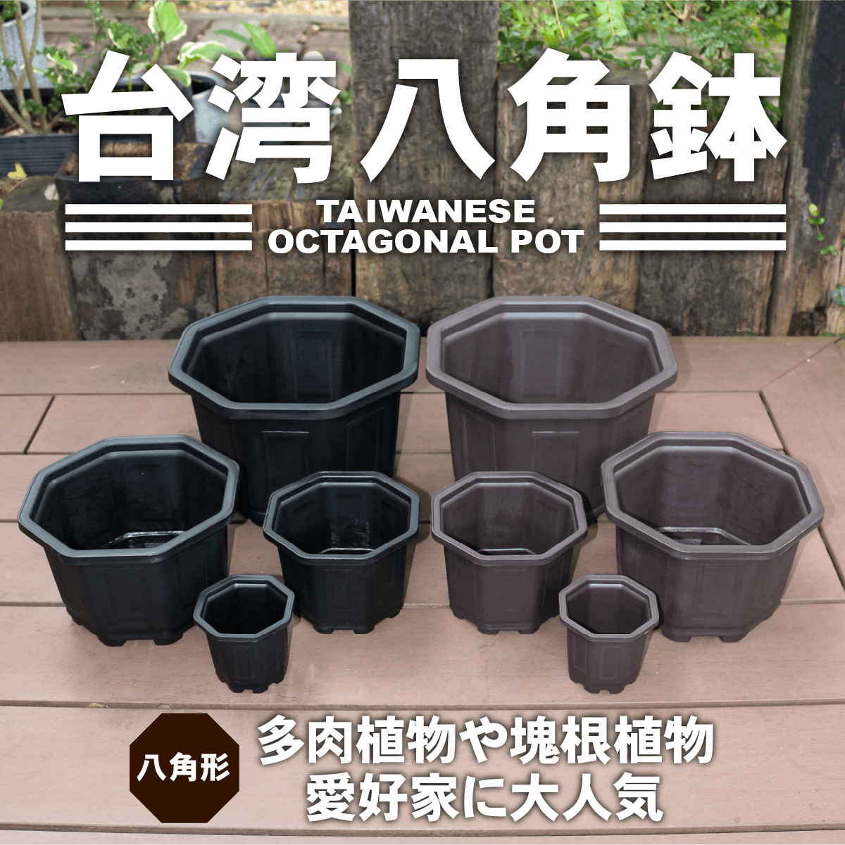 台湾八角鉢