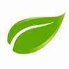 hoja(1)