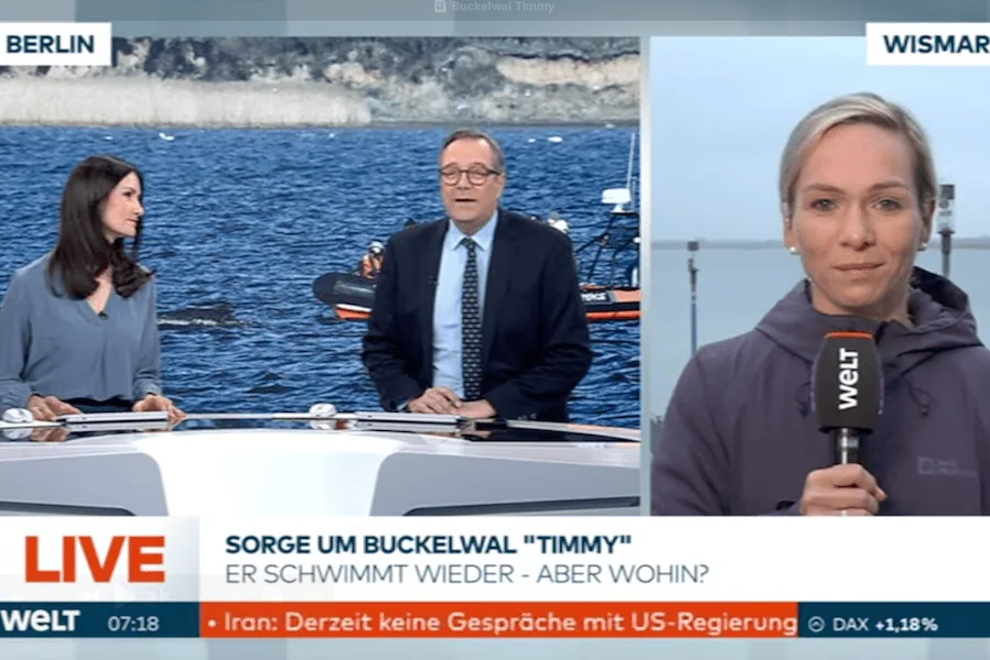 WELT TV Ilka Groenewold Reporterin Buckelwal Timmy Wismar