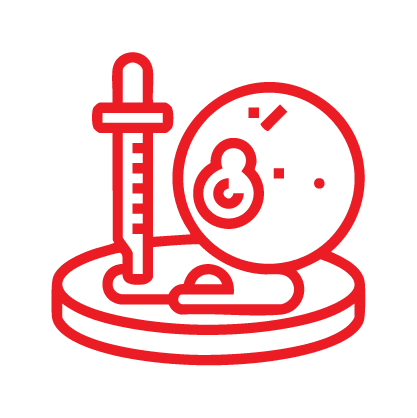 Blastocyst Culture & Transfer