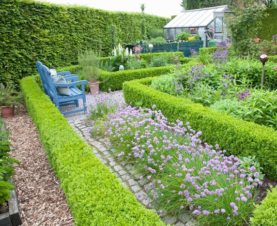 Knot Gardens Small knot gardens design ideas