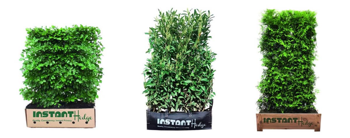 packaging-3hedge