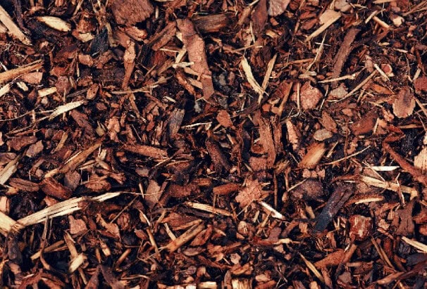 european-Soil