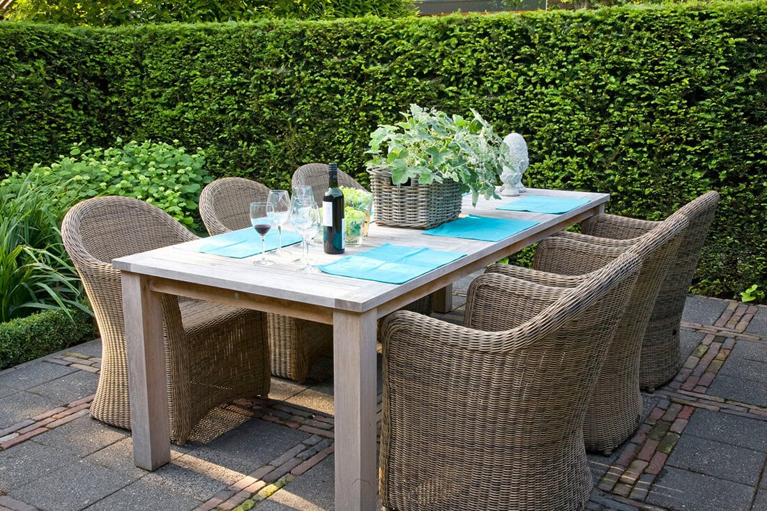 23881 Taxus yew country modern garden outdoor living patio table hedging plants for shade