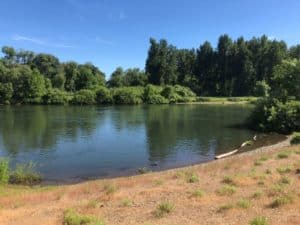 farm beach 4