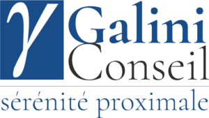 Logo Galini Conseil