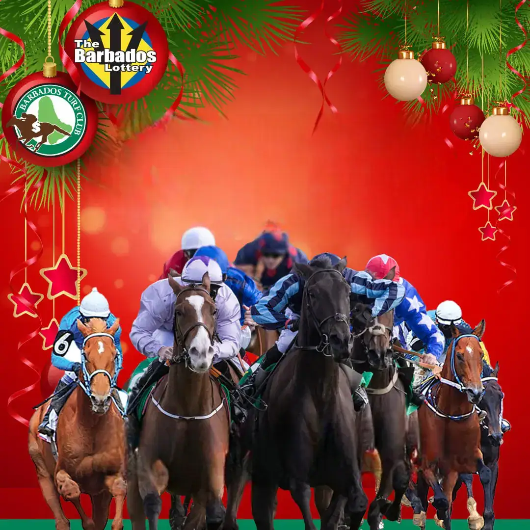 Boxing Day horse racing at the Garrison Savannah