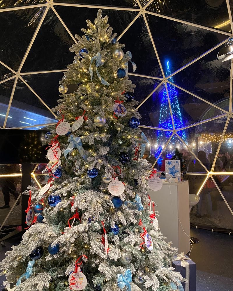 albero dei desideri