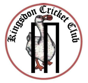 Cricket club logo