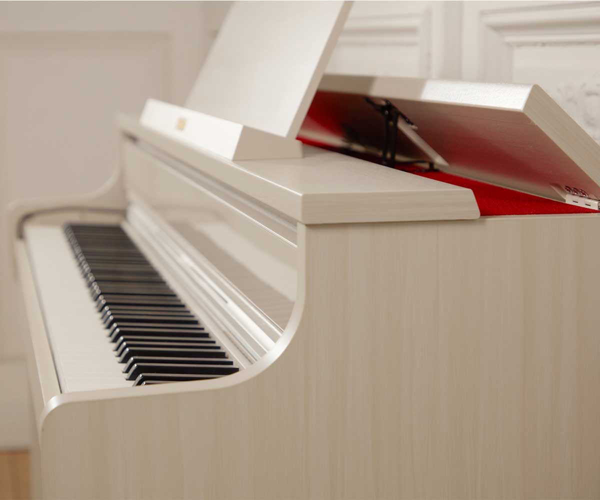 Casio Celviano AP-750GB offener Deckel